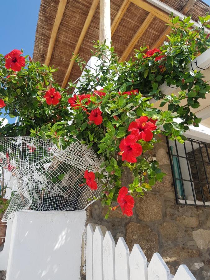 Mykonos Town Hibiscus Rosa Mykonos 빌라 외부 사진