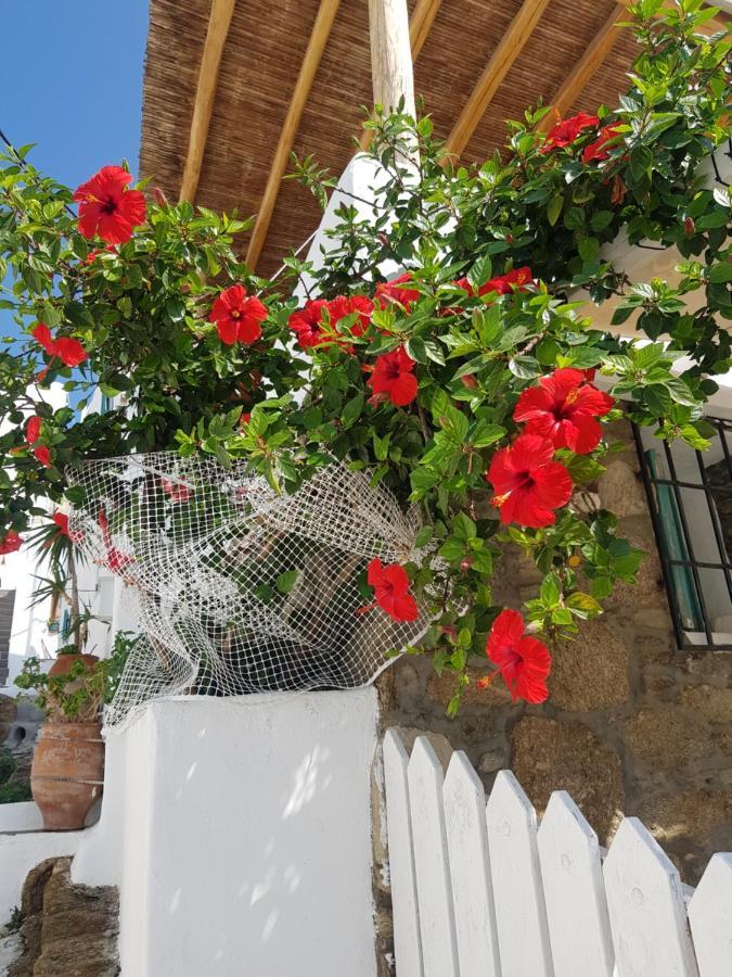 Mykonos Town Hibiscus Rosa Mykonos 빌라 외부 사진